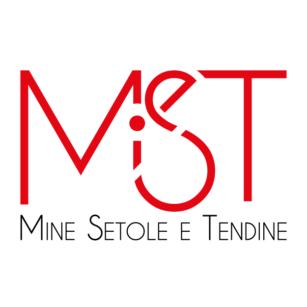 logo Mi.Se.T.